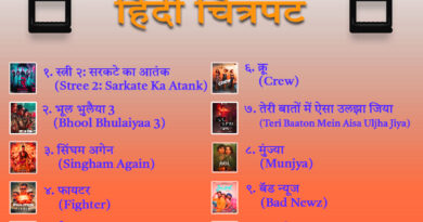 List of top 10 highest grossing Bollywood movies released in 2024 and their details
